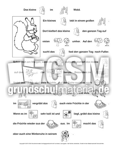 Mit-Bildern-lesen-Eichhörnchen-1-SW.pdf
